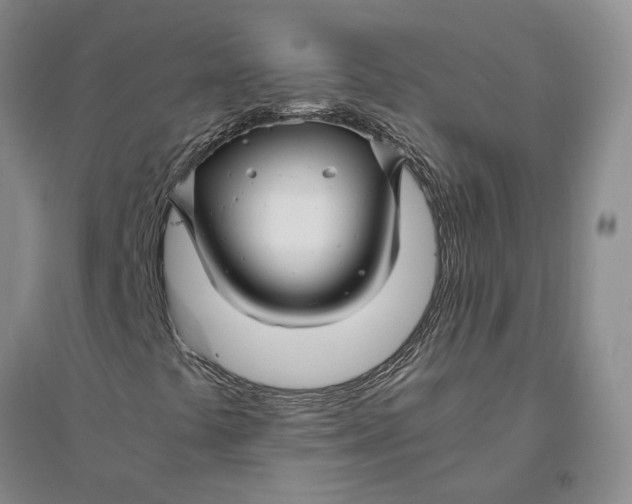 X0000094081441200711091204