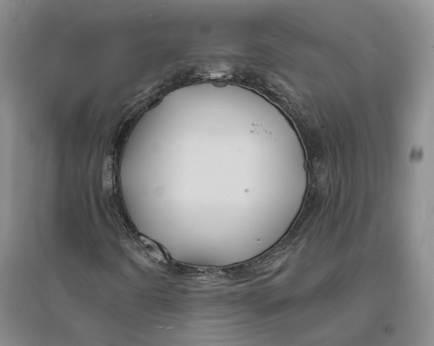 X0000094081442200711091204