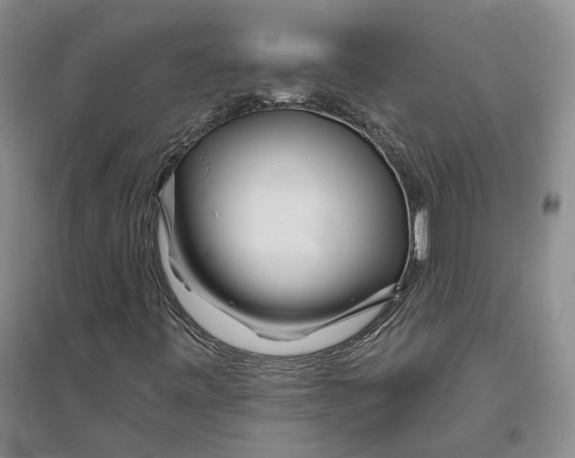 X0000094081443200711091204