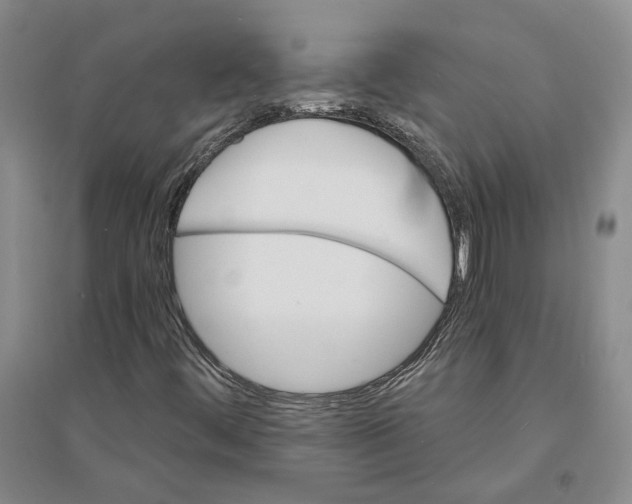 X0000094081444200711091204