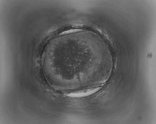 X0000094081445200711091204