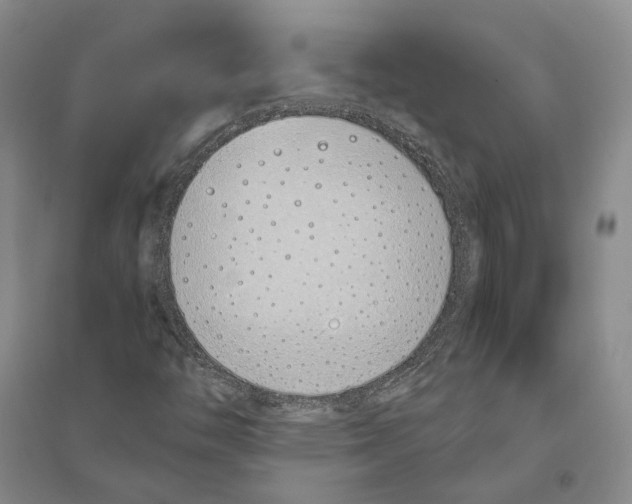 X0000094081446200711091204