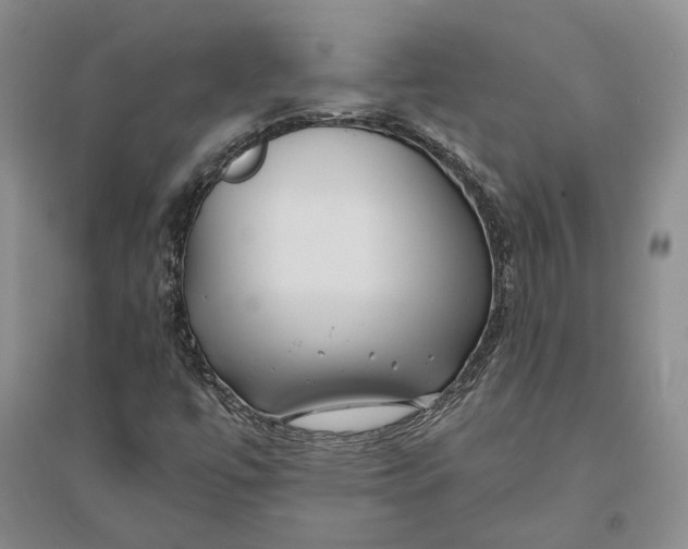 X0000094081447200711091204