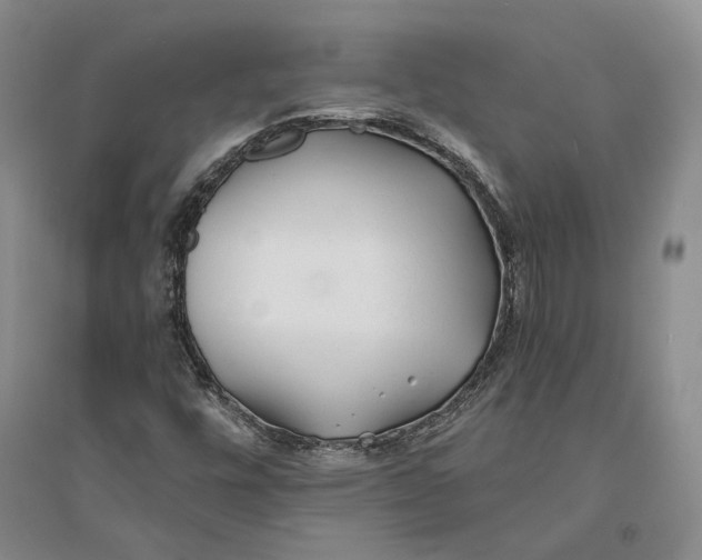 X0000094081448200711091204