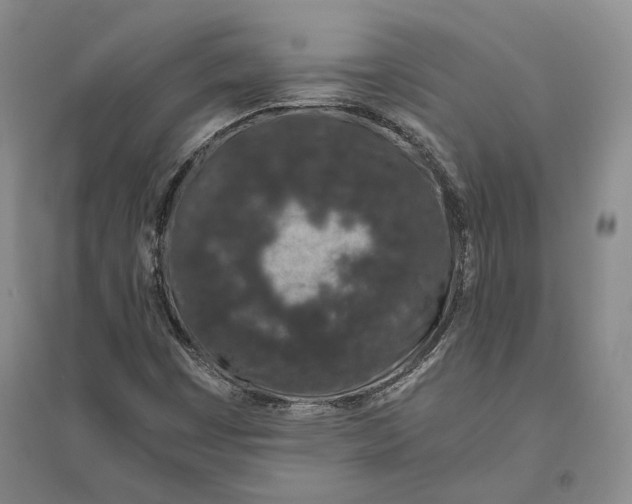 X0000094081449200711091204