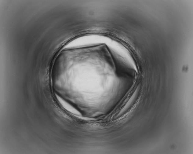 X0000094081450200711091204
