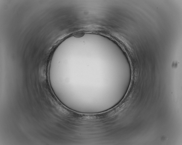 X0000094081451200711091204