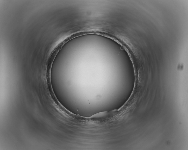 X0000094081452200711091204