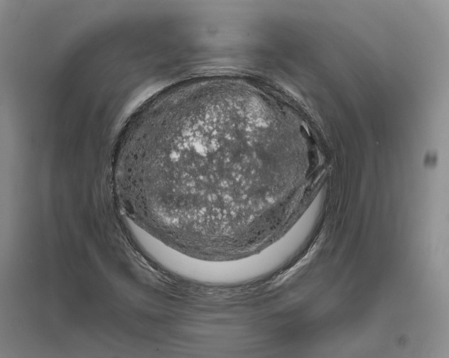 X0000094081453200711091204
