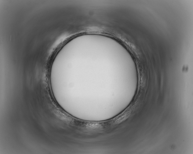 X0000094081454200711091204