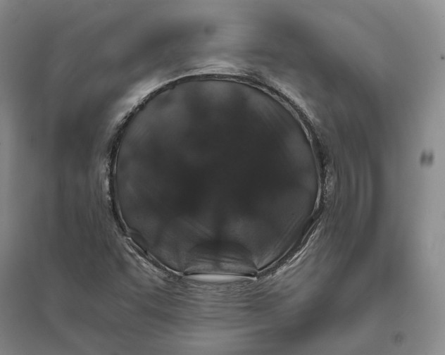X0000094081455200711091204