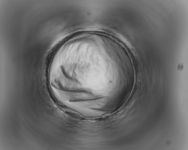 X0000094081456200711091204