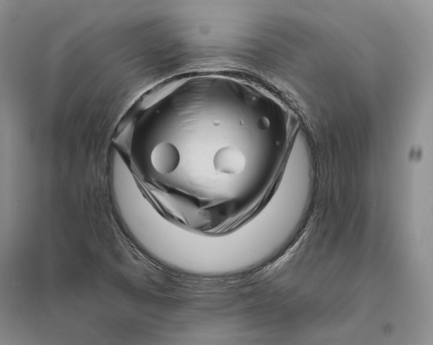 X0000094081457200711091204