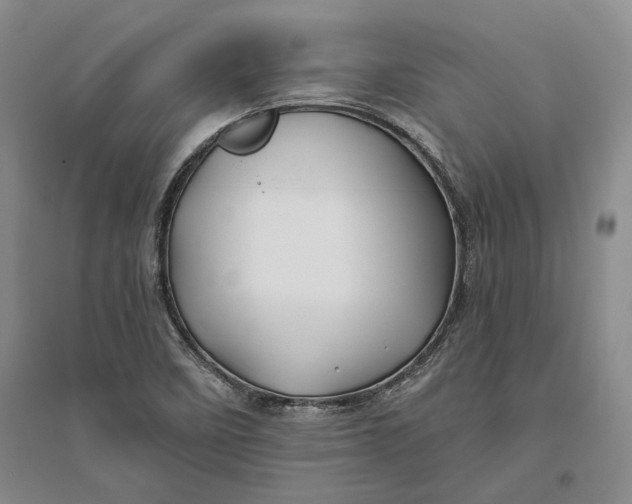 X0000094081458200711091204