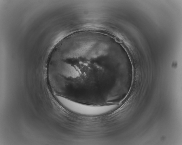 X0000094081459200711091204