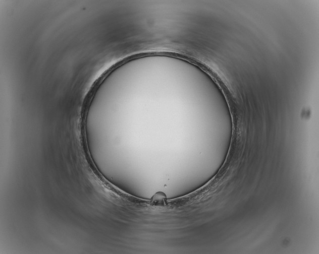 X0000094081460200711091204