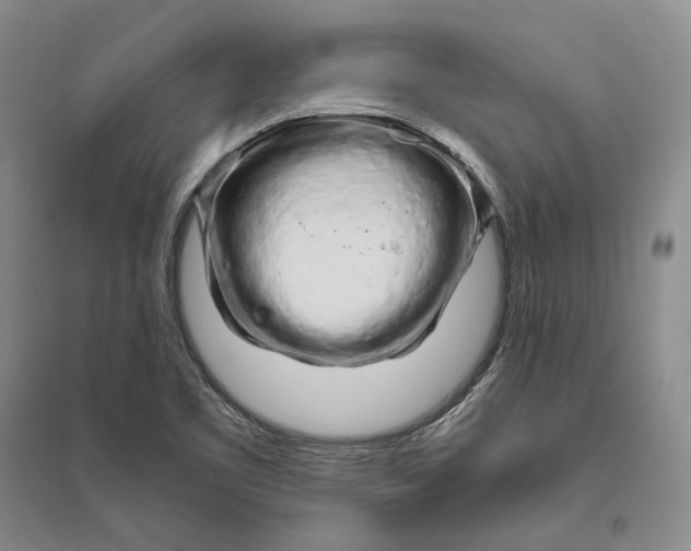 X0000094081461200711091204