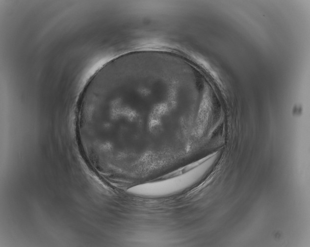 X0000094081463200711091204