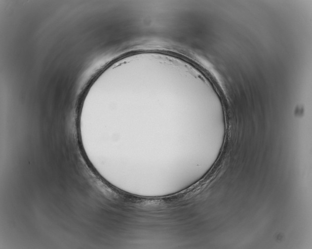 X0000094081464200711091204
