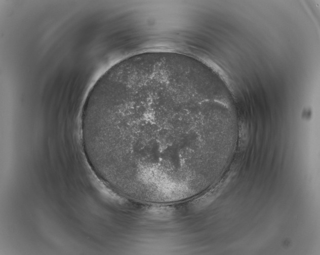 X0000094081466200711091204