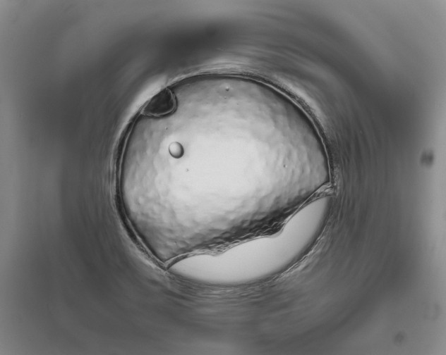 X0000094081467200711091204