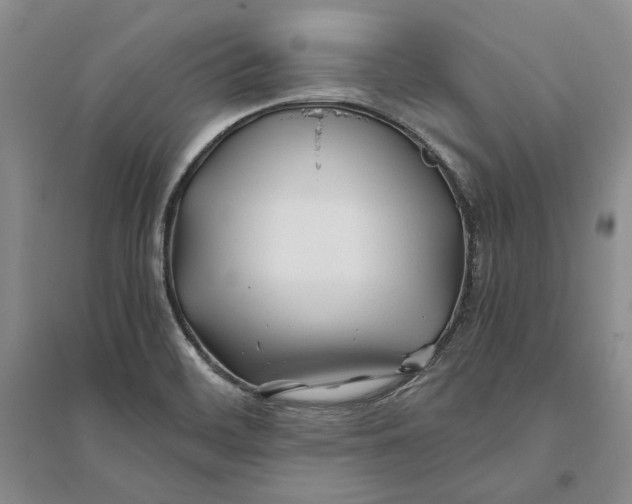 X0000094081468200711091204