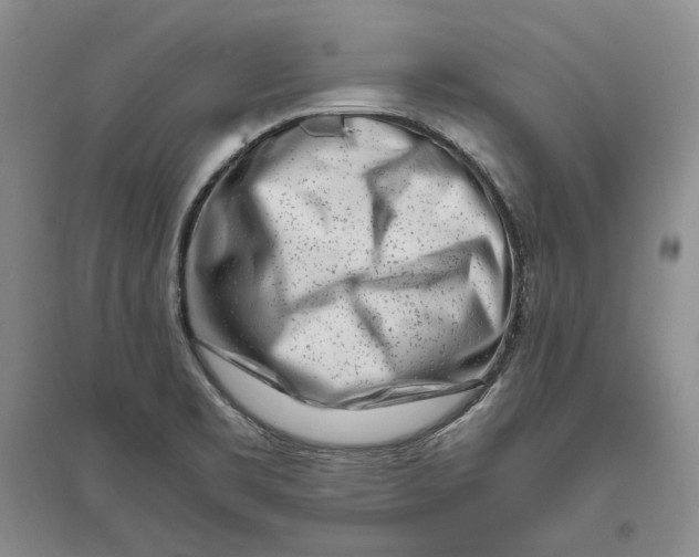 X0000094081469200711091204