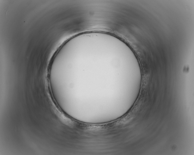 X0000094081470200711091204