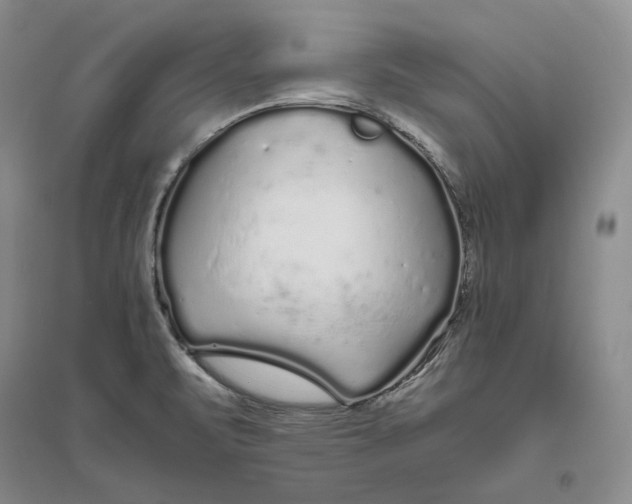 X0000094081471200711091204