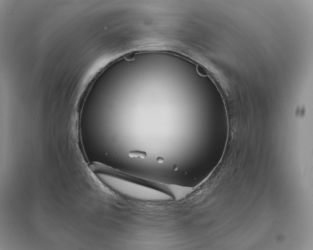X0000094081472200711091204