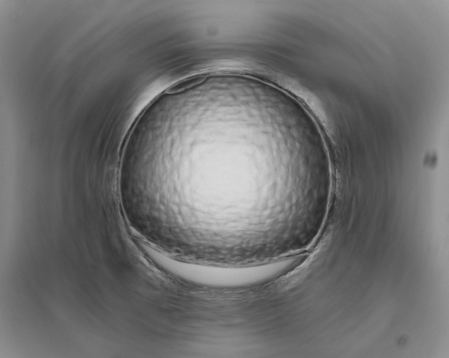 X0000094081473200711091204