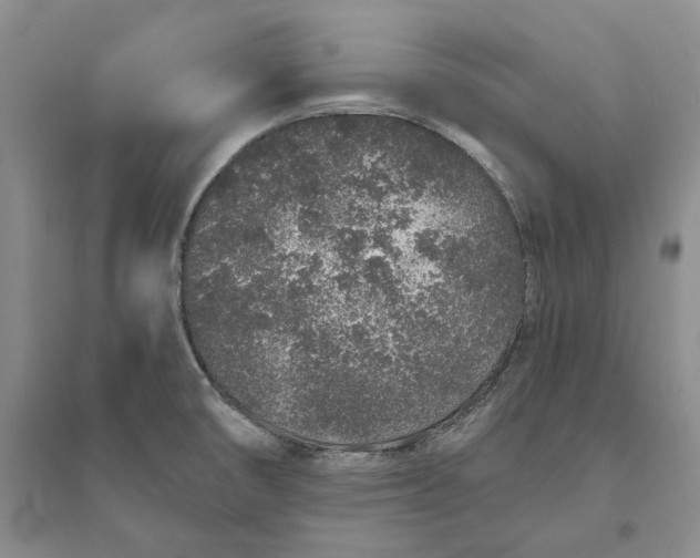 X0000094081474200711091204