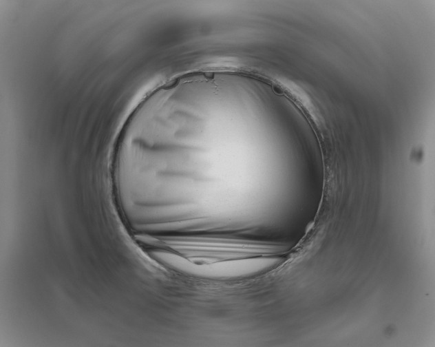 X0000094081475200711091204