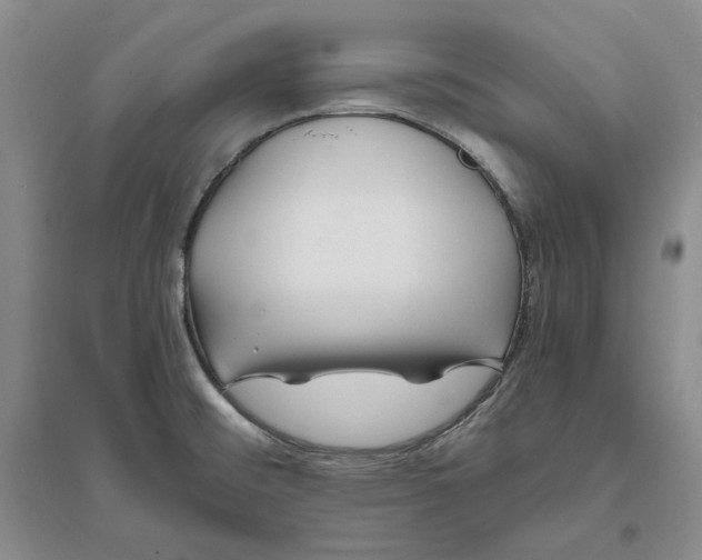 X0000094081476200711091204
