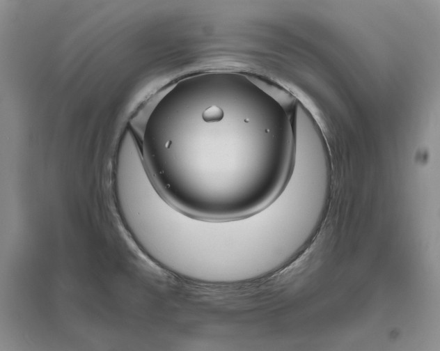 X0000094081477200711091204