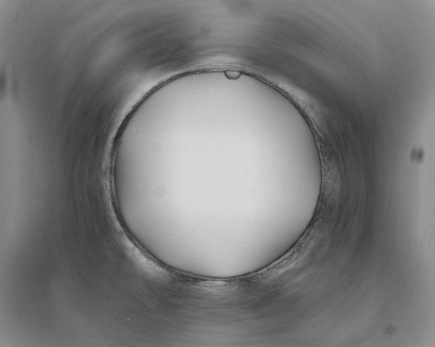 X0000094081478200711091204