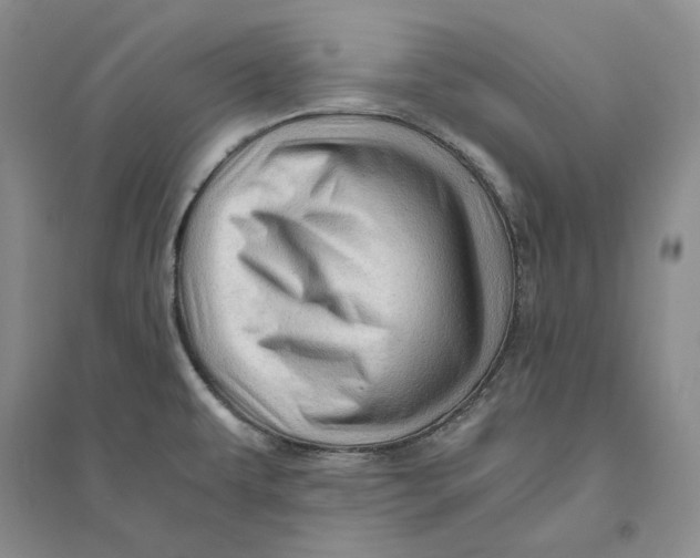 X0000094081479200711091204