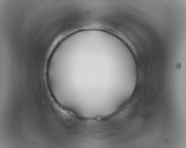 X0000094081480200711091204