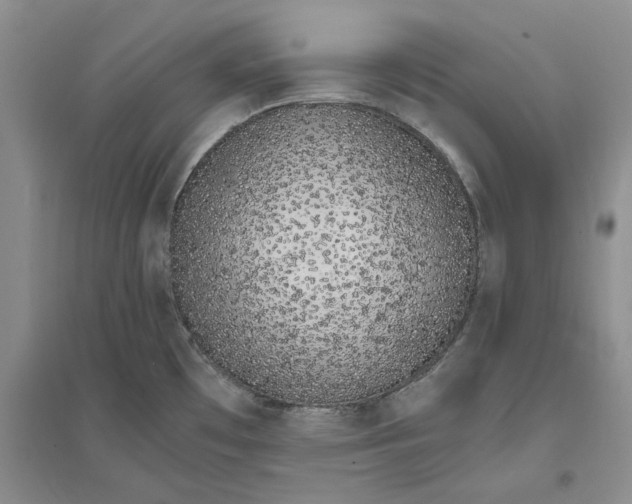 X0000094081481200711091204
