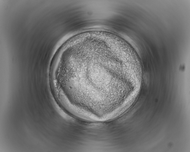 X0000094081482200711091204