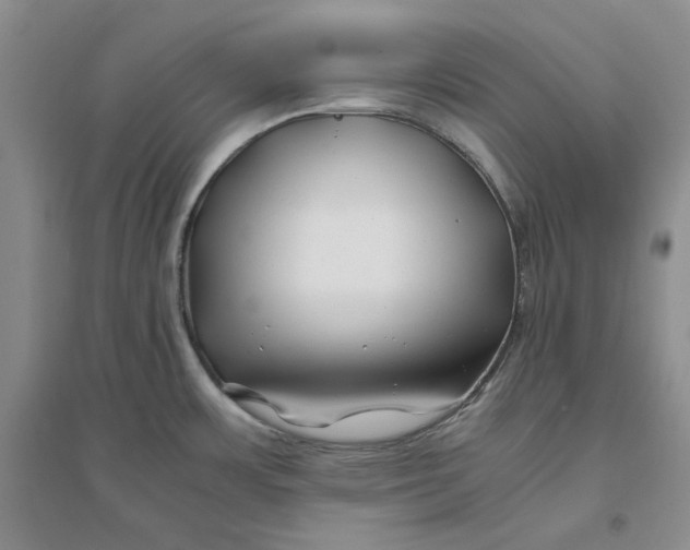 X0000094081483200711091204