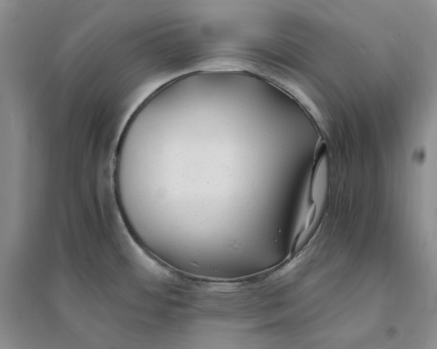 X0000094081484200711091204