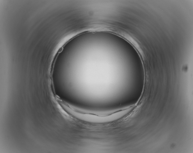 X0000094081485200711091204