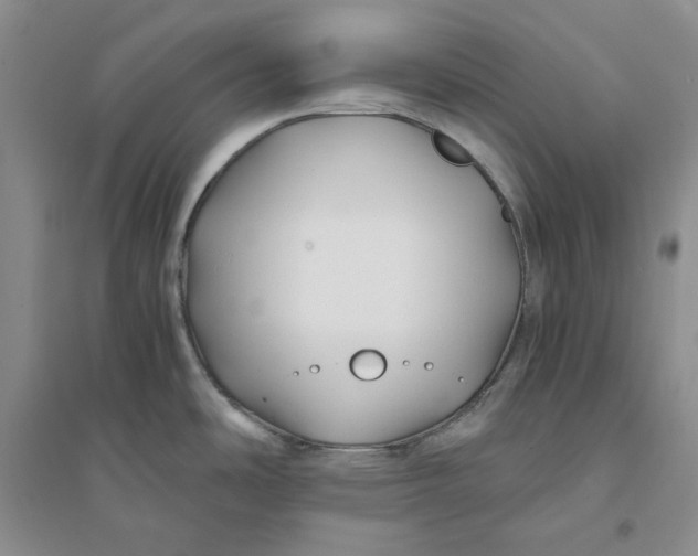 X0000094081486200711091204