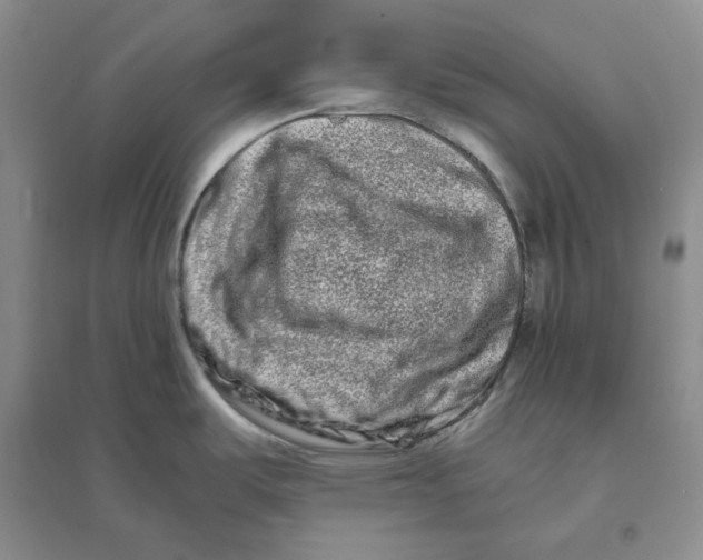 X0000094081487200711091204
