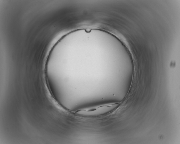 X0000094081488200711091204