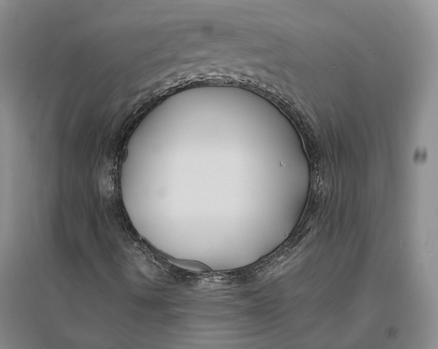 X0000094081490200711091203