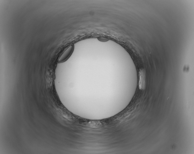 X0000094081491200711091203