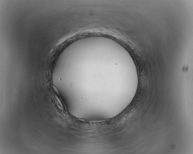 X0000094081494200711091203