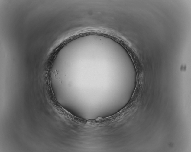 X0000094081496200711091203